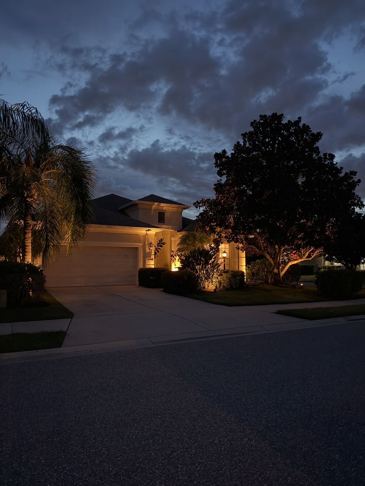 Two-story home with uplit trees and palms along the driveway at dusk