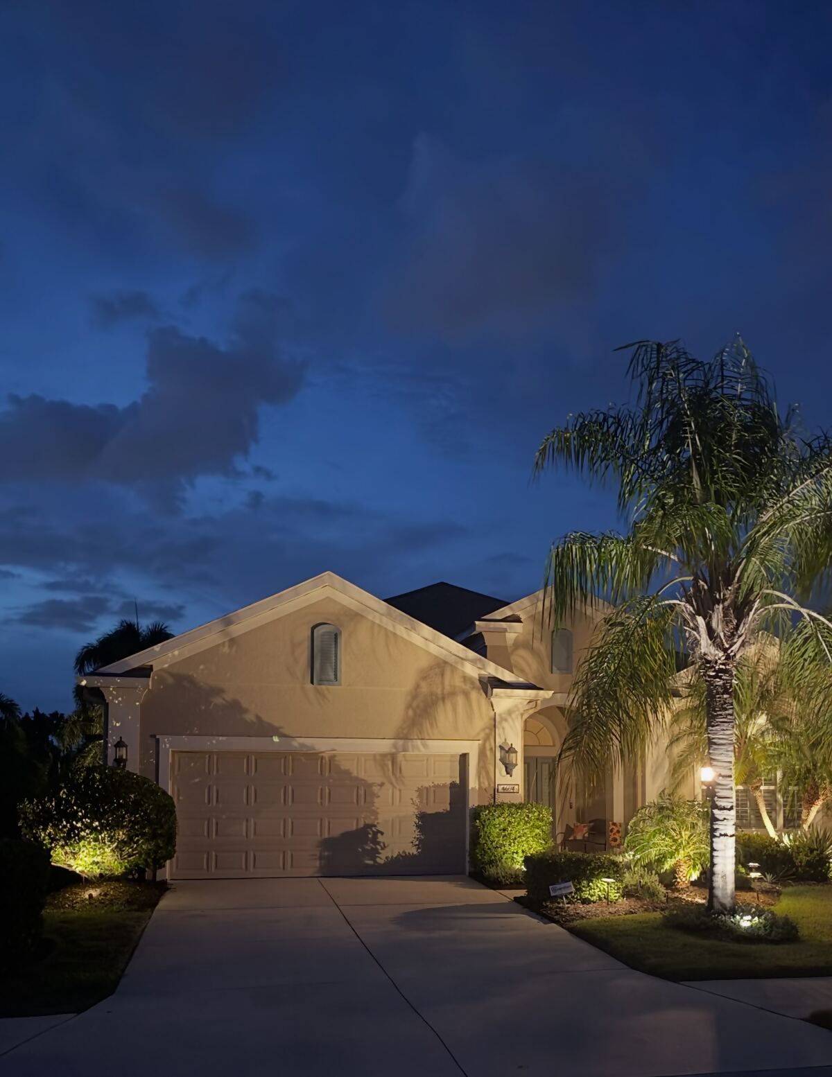 Front yard of a home with low-voltage landscape lighting on palms and shrubs at dusk