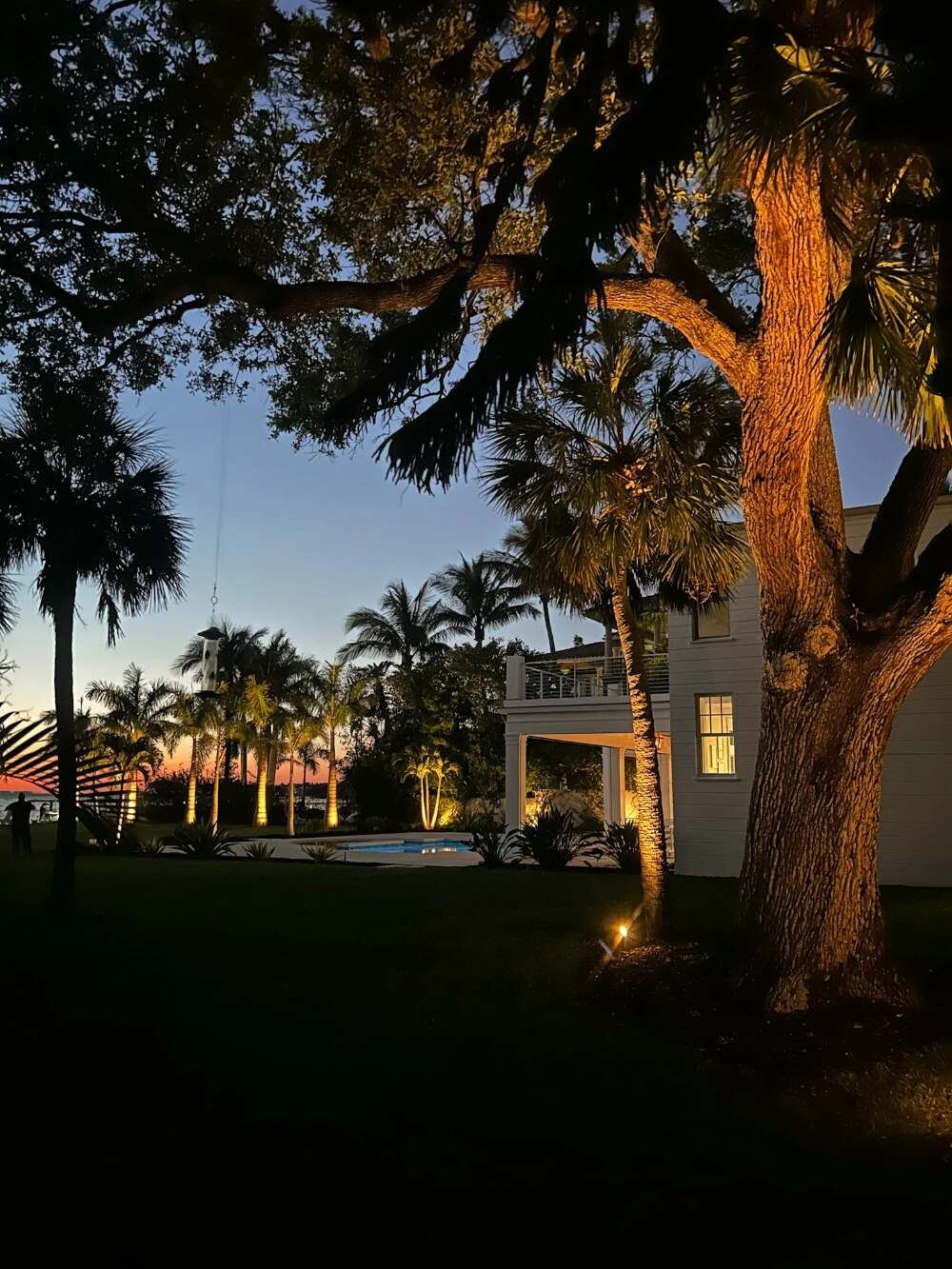 Uplights on a large oak tree and palms beside a white waterfront home at dusk