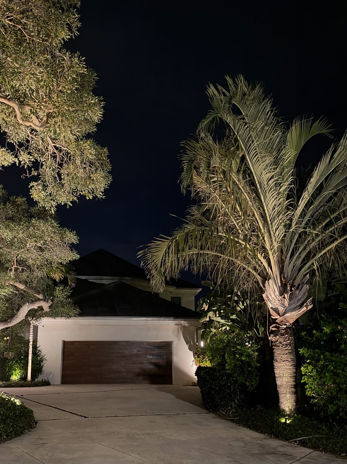 Uplit palm and oak tree beside a white garage and driveway at night