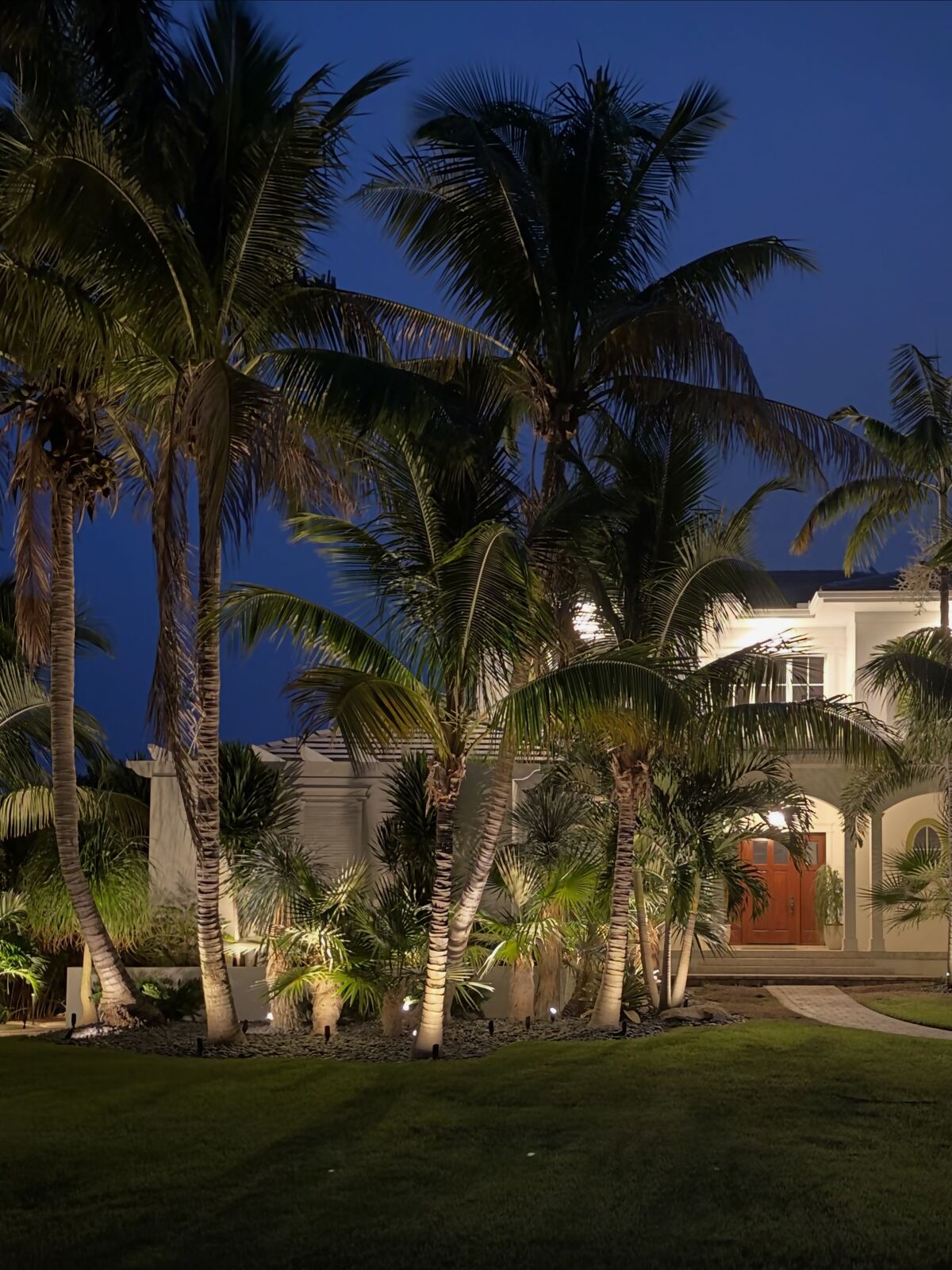 Tall palms uplit in front of a white coastal home at dusk