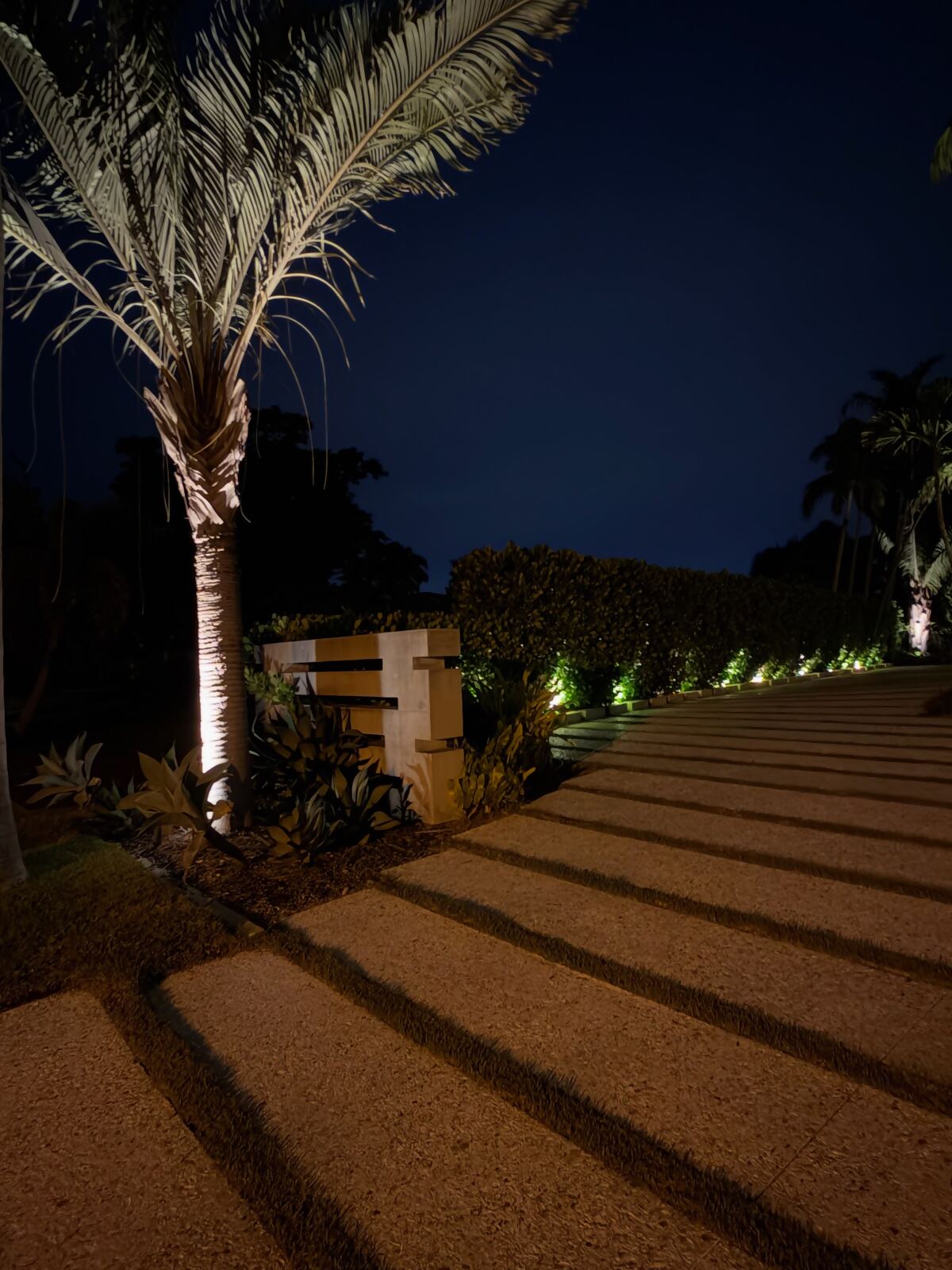 Paver walkway lined with low wall lights and an uplit palm at night